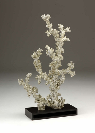 292385 Wildwood Lamps Giant Coral Display