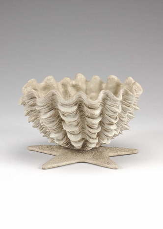 293919 Wildwood Lamps Star Clam