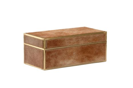 295604 Cheryl Luckett 5in. Hair On Hide/Metal Boxed in - Tan with Brass Finish