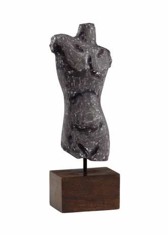 300729 Wildwood Torso