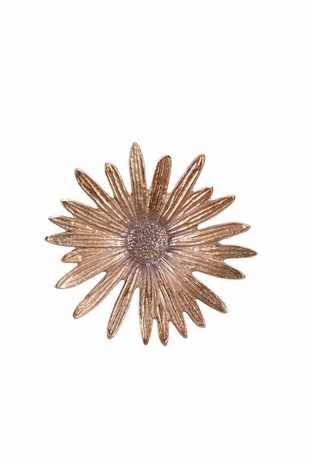 301280 Wildwood Lamps Black Eye Susan Wall Art - Antique Champagne Finish