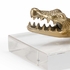 301907 Wildwood Croc Of Brass