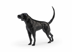 301921 Wildwood 9.5in. Aluminum Teddy with Matte Black Finish