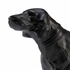 301921 Wildwood 9.5in. Aluminum Teddy with Matte Black Finish