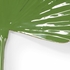 301937 Wildwood Full Leaf Palm - Green