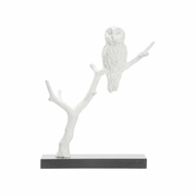 302319 Wildwood Bog Garden Winter Visitor