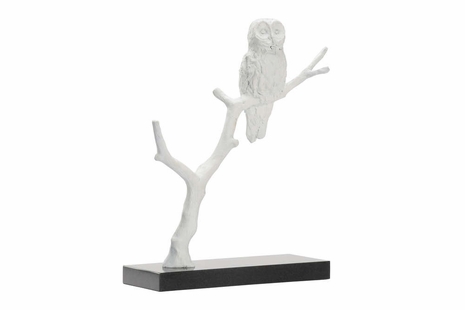 302319 Wildwood Bog Garden Winter Visitor