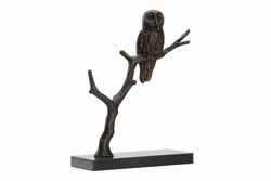 302320 Wildwood Bog Garden Visitor