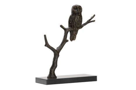 302320 Wildwood Bog Garden Visitor