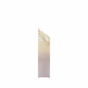 302331 Wildwood 12in. Acrylic Sybil Sculpture (Med) with Smokey Gold Ombre Finish