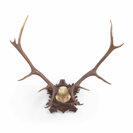 381079 Chelsea House Hand Finished Oak Finished Back Plate Deer Antlers (Lg)