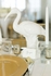 382083 Chelsea House Ibis Pair - White