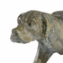 383736 Chelsea House Pointer - Verde