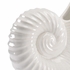 383799 Chelsea House Ceramic Cream Crackle Glaze White Conch