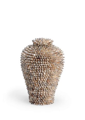 383954 Chelsea House 15in. Strombus Shell Sculpture with Natural Finish