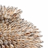 383954 Chelsea House 15in. Strombus Shell Sculpture with Natural Finish