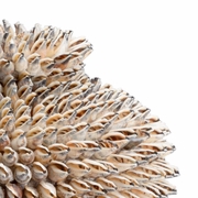383954 Chelsea House 15in. Strombus Shell Sculpture with Natural Finish