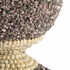 384167 Chelsea House 12.5in. Shells Multicolor Shell Finial with Natural Nassa/Umbonium Finish