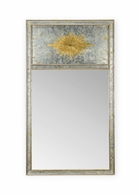 384354 Jamie Merida 56in. Wood Halcyon Hall Mirror with Antique Silver Leaf/Clear Finish