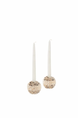 385045 Chelsea House Nassa Shell Candleholder (Pr)