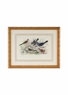 386063 Chelsea House 22in. Wood/Glass Skylark Song Thrush &R/Breast with Gold Finish