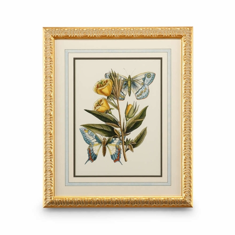 386096 Chelsea House Butterfly Oasis II