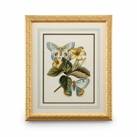 386098 Chelsea House Butterfly Oasis IV