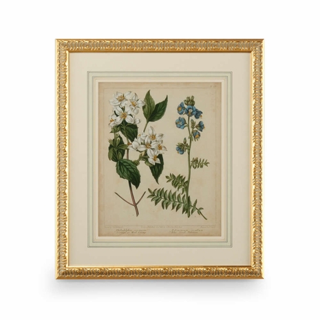 386236 Chelsea House 31in. Giclee Print Cottage Florals I with Gold Leaf Wood Frame/French Mat