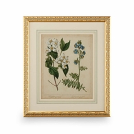 386236 Chelsea House 31in. Giclee Print Cottage Florals I with Gold Leaf Wood Frame/French Mat