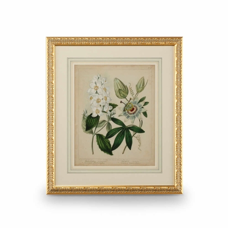 386237 Chelsea House 31in. Giclee Print Cottage Florals II with Gold Leaf Wood Frame/French Mat