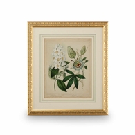 386237 Chelsea House 31in. Giclee Print Cottage Florals II with Gold Leaf Wood Frame/French Mat