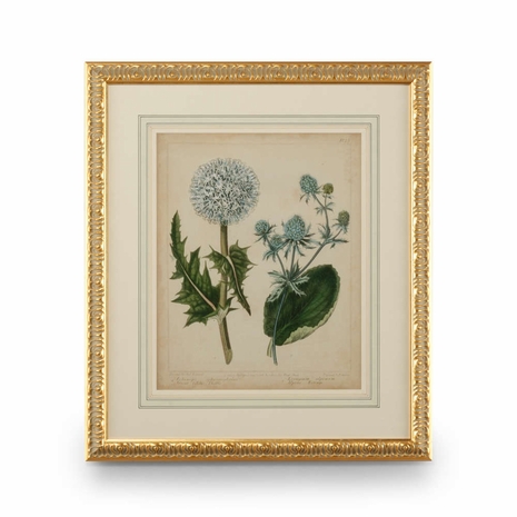 386238 Chelsea House 31in. Giclee Print Cottage Florals III with Gold Leaf Wood Frame/French Mat