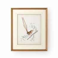 386342 Chelsea House Delicate Birds I