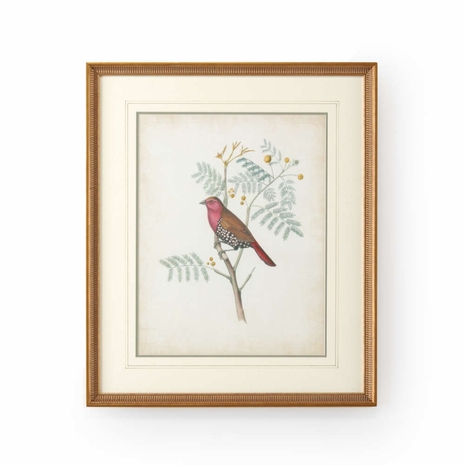 386343 Chelsea House Delicate Birds II