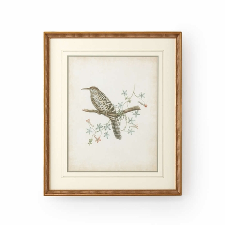 386345 Chelsea House Delicate Birds IV