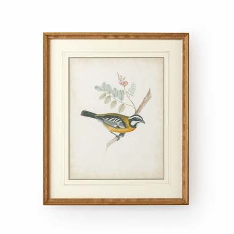 386346 Chelsea House Delicate Birds V