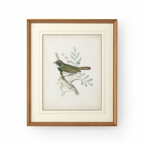 386347 Chelsea House Delicate Birds VI