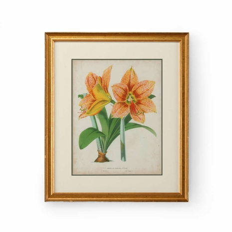 386348 Chelsea House Giclee Print Gold Frame-Double Mat Tropical Array I