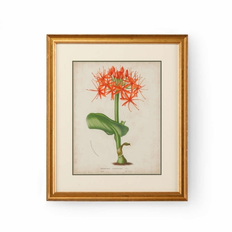 386352 Chelsea House Giclee Print Gold Frame-Double Mat Tropical Array V