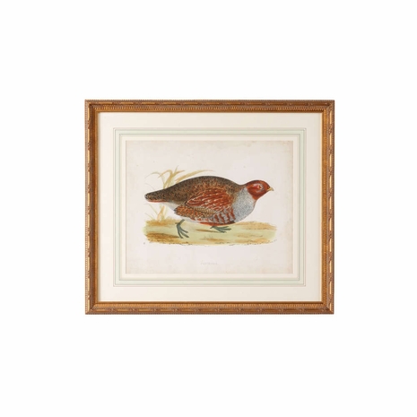 386485 Chelsea House Giclee Single French Mat, Antiqued Gold Frame Morris Partridge