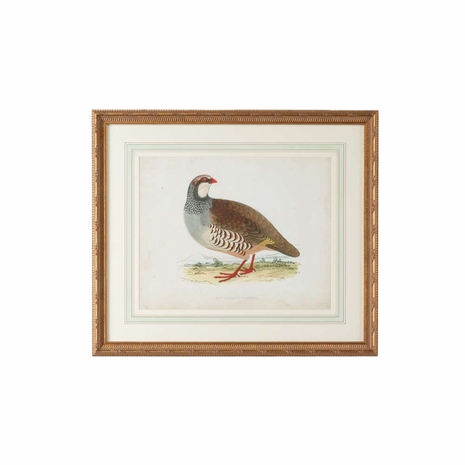 386486 Chelsea House Giclee Single French Mat, Antiqued Gold Frame Morris Red-Legged Partridge