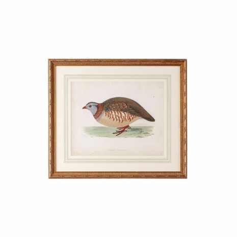 386487 Chelsea House Giclee Single French Mat, Antiqued Gold Frame Morris Barbary Partridge