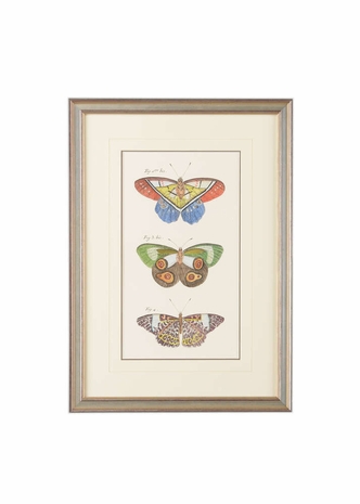 386536 Chelsea House Hand Colored Lithograph-Double Mat V-Groove - Silver Leaf On Wood Frame Vertical Butterfly IV