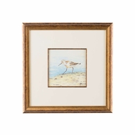 386549 Lisa Kahn Sand Piper V