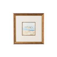 386550 Lisa Kahn Sand Piper VI