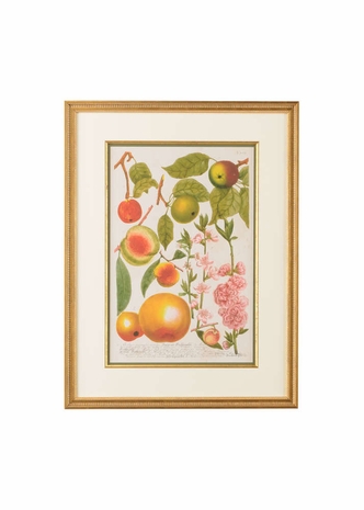 386587 Chelsea House Giclee Mount Vernon Series Gold Leaf Frame-Dbl Mat-Gold Fillet Apples No.707