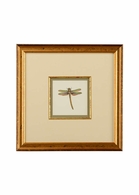 386608 Chelsea House 18.5in. Giclee Print/Gold Frame Miniature Dragonfly I with Linen Double Mat/Gold Fillet Finish