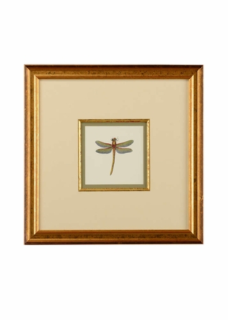 386609 Chelsea House 18.5in. Giclee Print/Gold Frame Miniature Dragonfly II with Linen Double Mat/Gold Fillet Finish