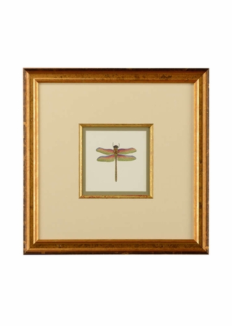 386610 Chelsea House 18.5in. Giclee Print/Gold Frame Miniature Dragonfly III with Linen Double Mat/Gold Fillet Finish
