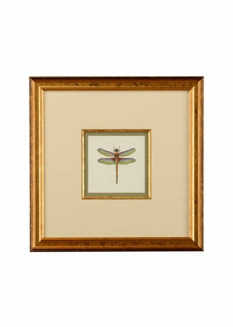 386611 Chelsea House 18.5in. Giclee Print/Gold Frame Miniature Dragonfly IV with Linen Double Mat/Gold Fillet Finish
